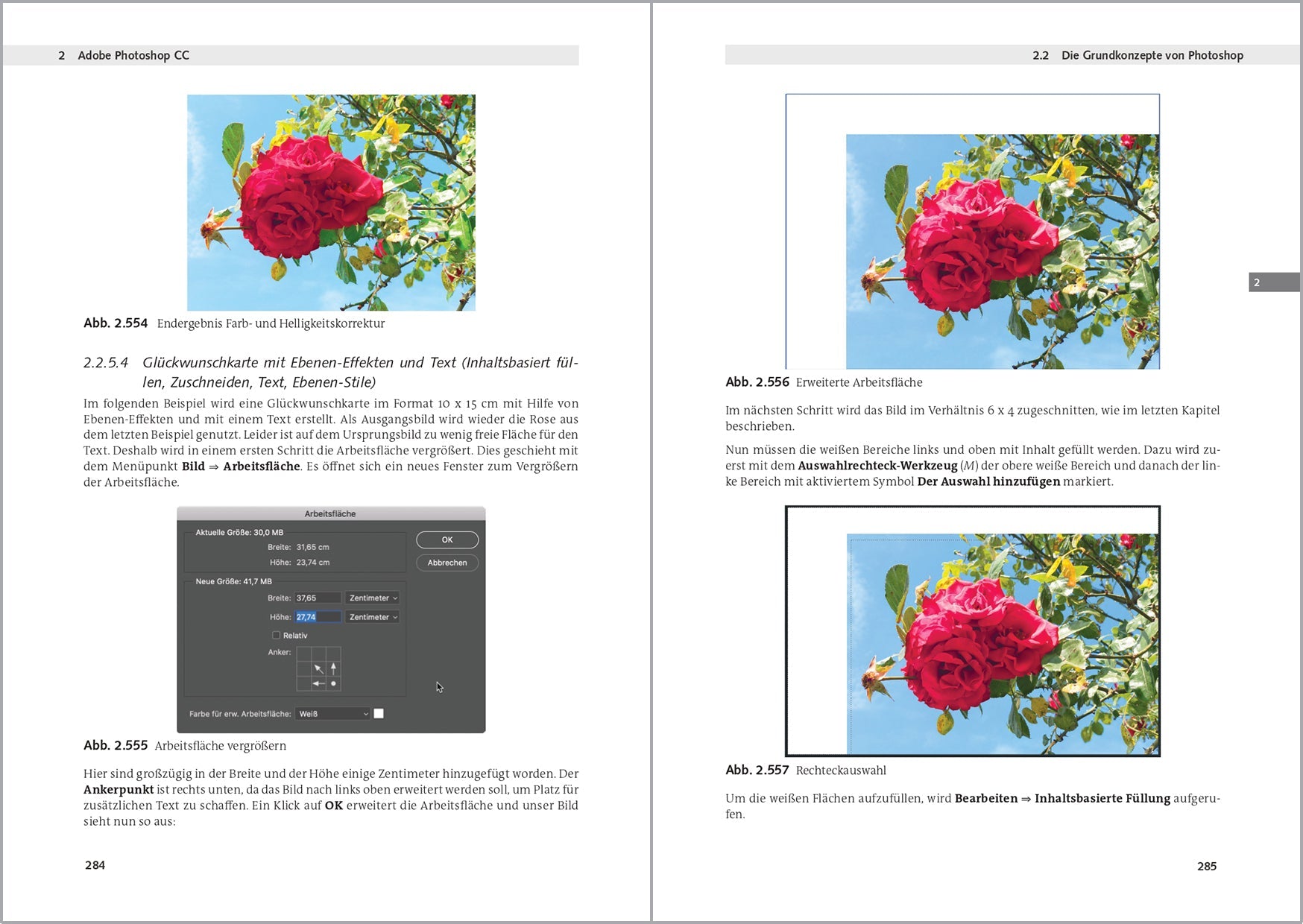 Photoshop Kompendium: Professionelle Bildbearbeitung mit Photoshop und Lightroom - AZ-Delivery