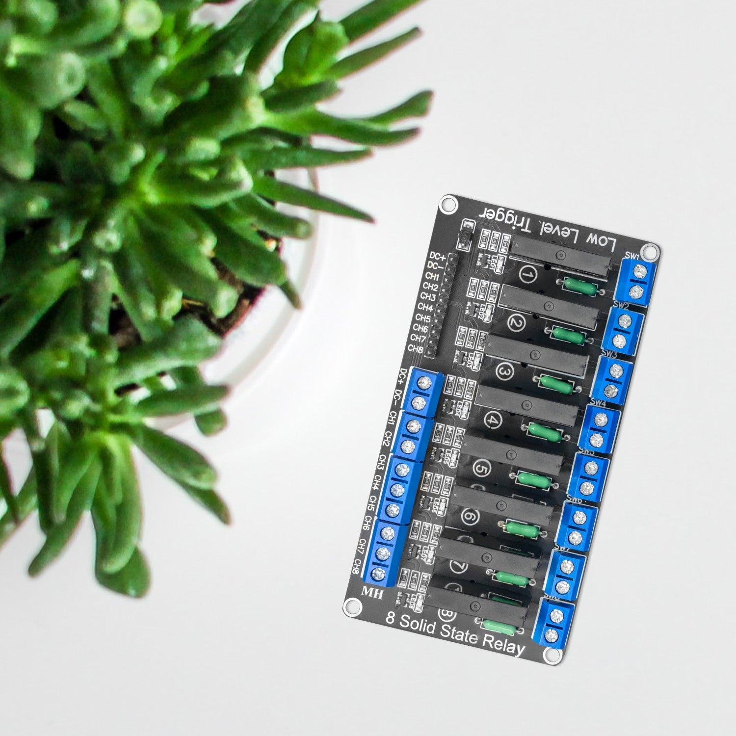 8 Channel Solid State Relay 5V DC Low Level Trigger Power Switch Compatible with Arduino and Raspberry Pi
