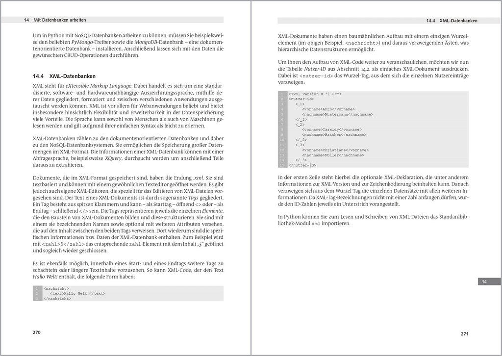 Python Compendium: Learn Programming Python Professional